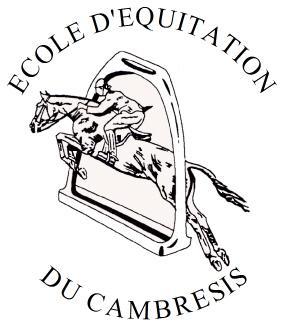 CSO Sancourt Am, Cycle Libre, Jeune Poney