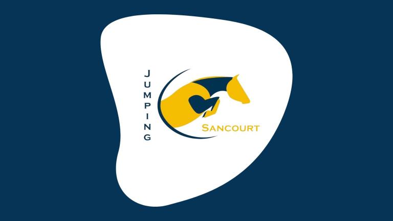 CSI Sancourt ** / * / YH* / Am